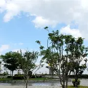 st3000dm001固件修复